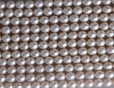Oval Shape Freshwater Pearl Strand 5-5.5mm