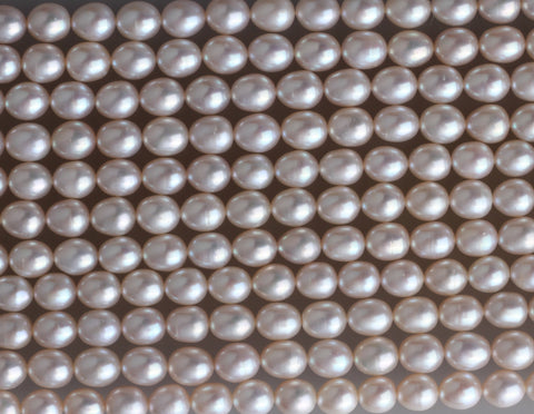 Oval Shape Freshwater Pearl Strand 5-5.5mm