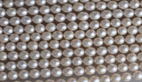 Oval Shape Freshwater Pearl Strand 8-8.5mm