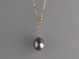 PG200866N-T(14K)