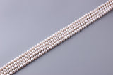Round Shape Freshwater Pearl 7.5-8.5mm (SKU: 990708 / 1000041) - Wing Wo Hing Jewelry Group - Pearl Jewelry Manufacturer