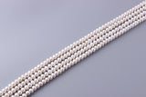 Roundel Shape Freshwater Pearl 9-9.5mm (SKU: 916208 / 1006623) - Wing Wo Hing Jewelry Group - Pearl Jewelry Manufacturer