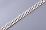 Oval Shape Freshwater Pearl 6-6.5mm (SKU: 94108 / 1002317) - Wing Wo Hing Jewelry Group - Pearl Jewelry Manufacturer