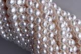 Double Shine Shape Freshwater Pearl 7-7.5mm (SKU: 960008/1006342)