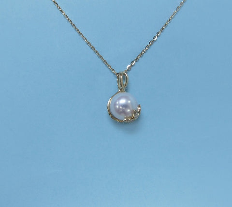 PG160788N-D(14K)