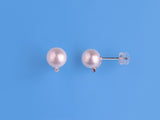 PG210312E-D(18K)