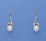 Sterling Silver Earrings with 8-8.5mm Oval Shape Freshwater Pearl - Wing Wo Hing Jewelry Group - Pearl Jewelry Manufacturer