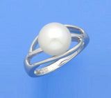 Sterling Silver Ring with 9.5-10mm Button Shape Freshwater Pearl - Wing Wo Hing Jewelry Group - Pearl Jewelry Manufacturer