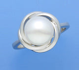 Sterling Silver Ring with 9.5-10mm Button Shape Freshwater Pearl - Wing Wo Hing Jewelry Group - Pearl Jewelry Manufacturer