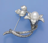Sterling Silver Brooch with 9.5-10mm Drop Shape Freshwater Pearl - Wing Wo Hing Jewelry Group - Pearl Jewelry Manufacturer