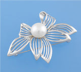 Sterling Silver Brooch with 11-11.5mm Button Shape Freshwater Pearl - Wing Wo Hing Jewelry Group - Pearl Jewelry Manufacturer