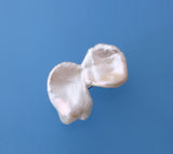 Sterling Silver Brooch with Baroque Shape Freshwater Pearl - Wing Wo Hing Jewelry Group - Pearl Jewelry Manufacturer