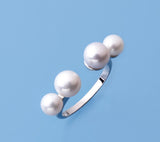 Sterling Silver Ring with Button Shape Freshwater Pearl - Wing Wo Hing Jewelry Group - Pearl Jewelry Manufacturer