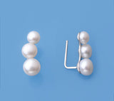 Sterling Silver Earrings with Button Shape Freshwater Pearl - Wing Wo Hing Jewelry Group - Pearl Jewelry Manufacturer