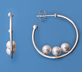 Sterling Silver Earrings with 5.5-6mm Round Shape Freshwater Pearl - Wing Wo Hing Jewelry Group - Pearl Jewelry Manufacturer