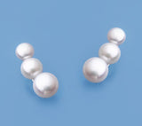 Sterling Silver with 5-7.5mm Button Shape Freshwater Pearl Earrings - Wing Wo Hing Jewelry Group - Pearl Jewelry Manufacturer - 3