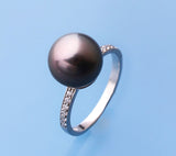 Sterling Silver with 10-11mm Tahitian Pearl and Cubic Zirconia Ring - Wing Wo Hing Jewelry Group - Pearl Jewelry Manufacturer